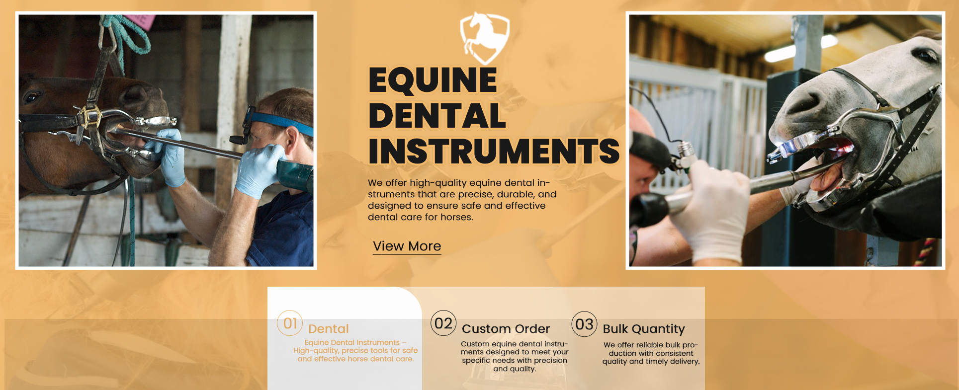 Equine Dental